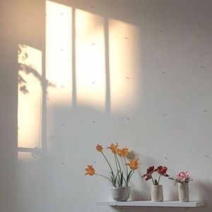 Meet your Posher, Kristina